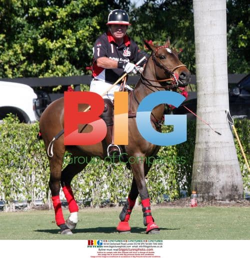 Tommy Lee Jones plays polo in Palm Beach