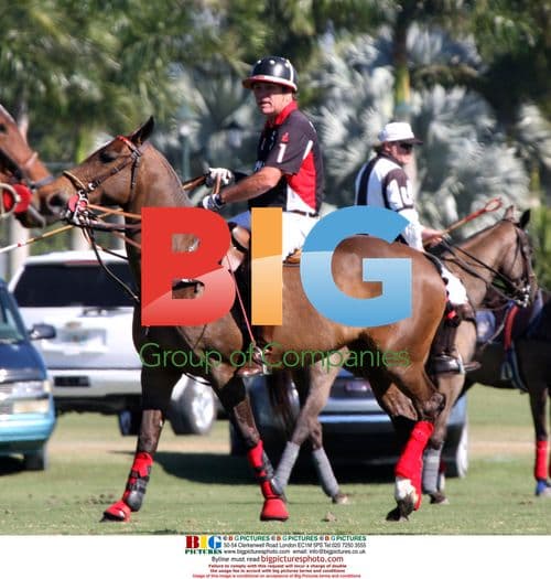 Tommy Lee Jones plays in Palm Beach polo tournament
