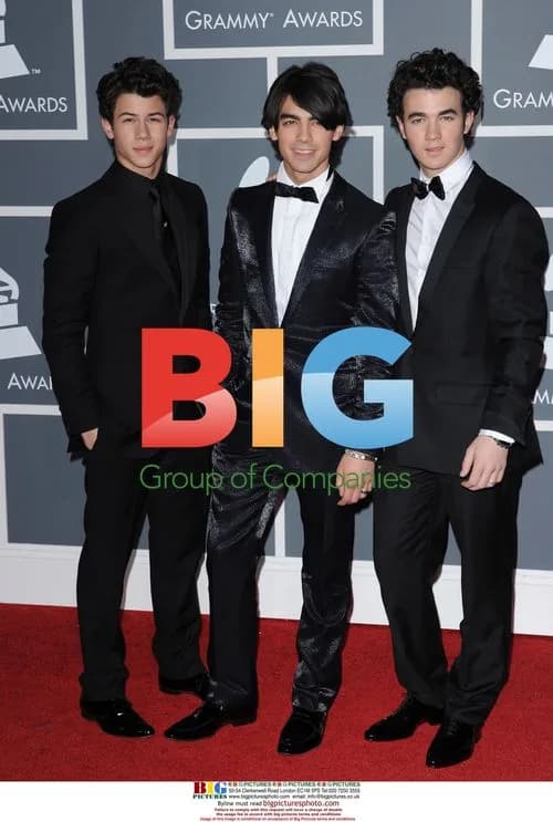 The Jonas Brothers at the 51st GRAMMY Awards