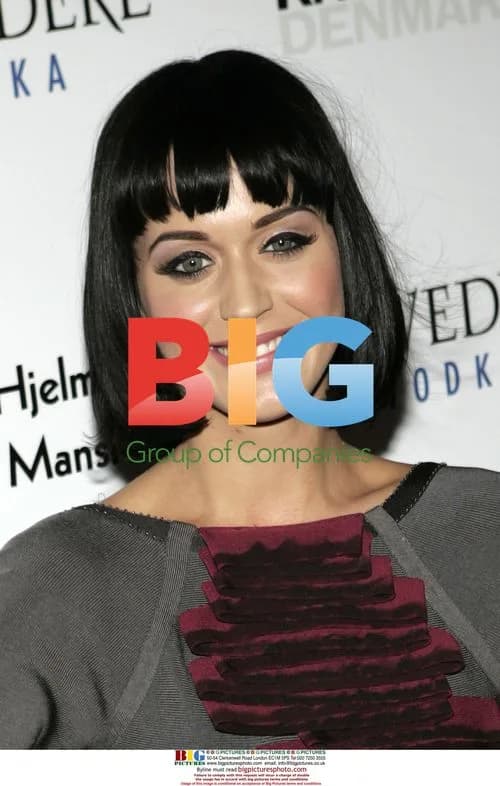 Katy Perry at Style Mansion event