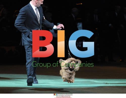 Sussex Spaniel Wins 'Best in Show'