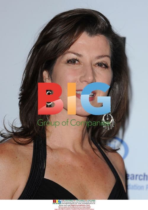 Amy Grant at Unforgettable Evening Benefit