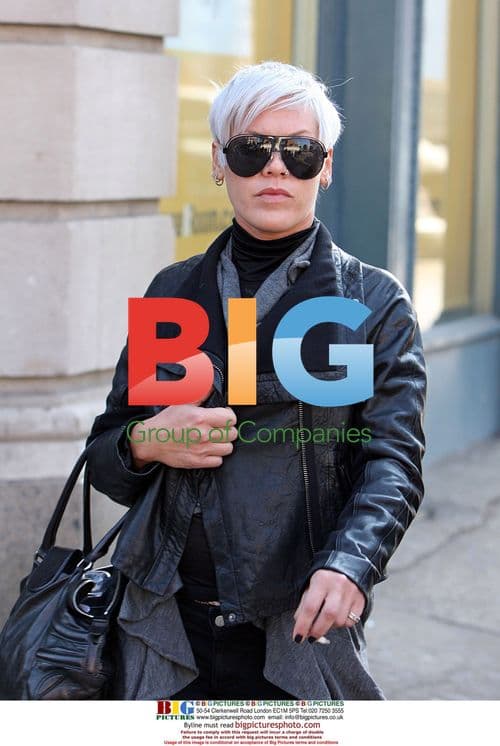 Singer Pink and friend in NYC