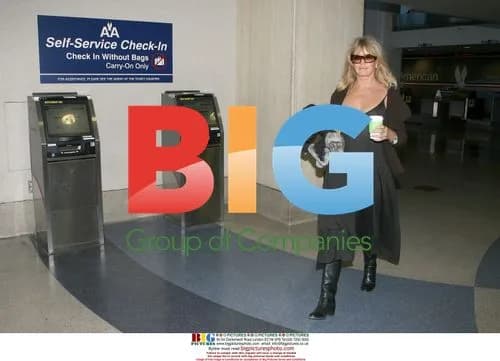 Goldie Hawn Arrives at LAX in Sheer Dress