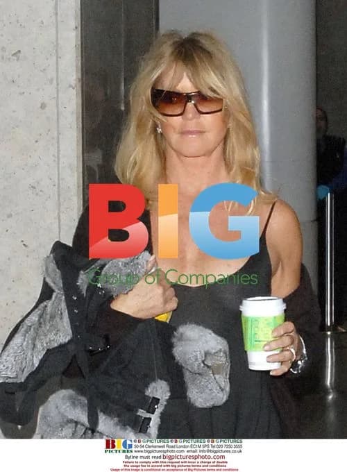 Goldie Hawn Arrives at LAX in Sheer Black Dress
