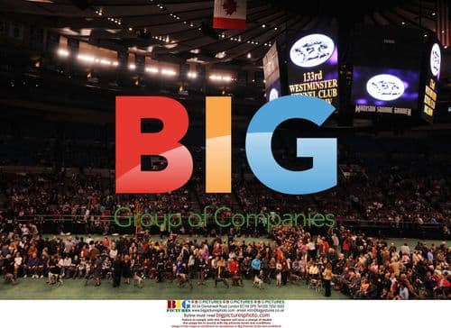 2009 Westminster Kennel Club Dog Show