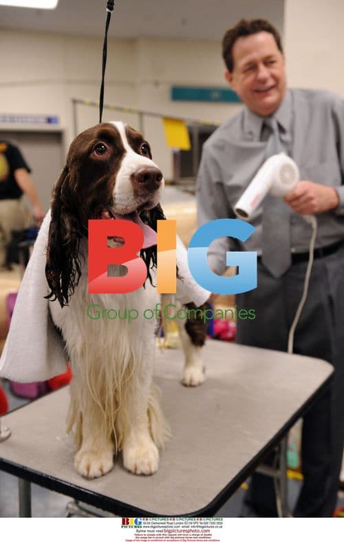 2009 Westminster Kennel Club Dog Show