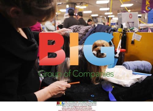 2009 Westminster Kennel Club Dog Show