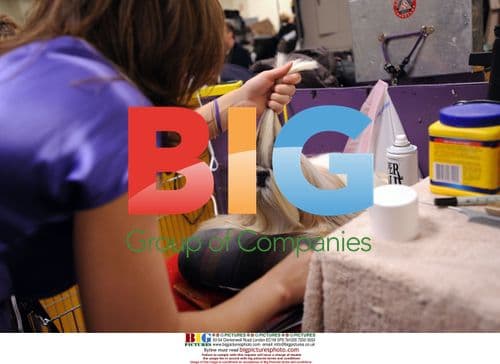 2009 Westminster Kennel Club Dog Show