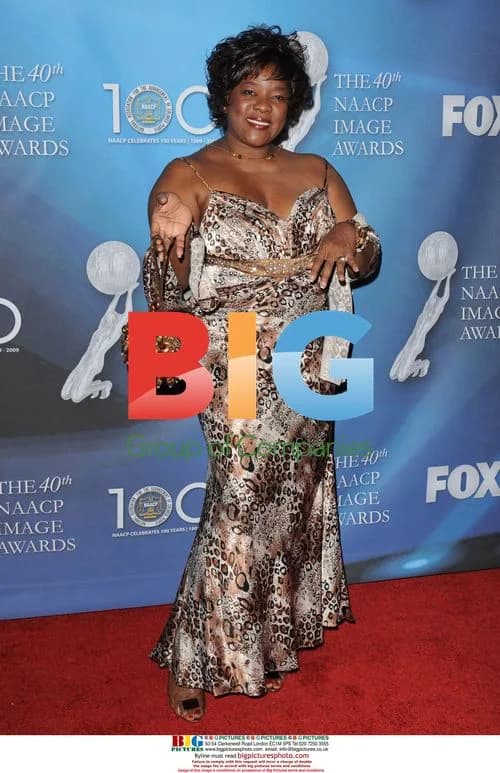 Loretta Devine at 40th NAACP Image Awards