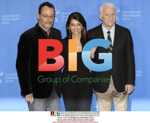 Pink Panther 2 Photocall