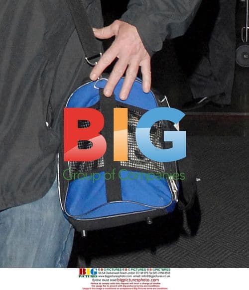 Ron Perlman with dog at LAX