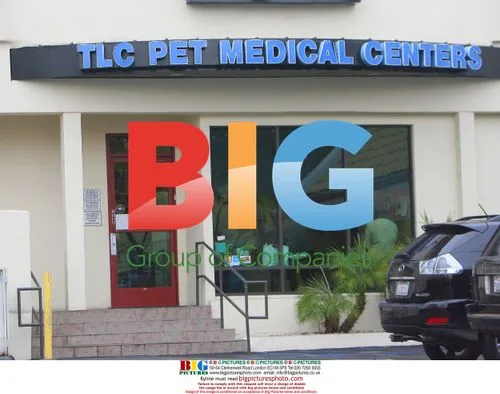 Charlize Theron takes dog to vet in Hollywood