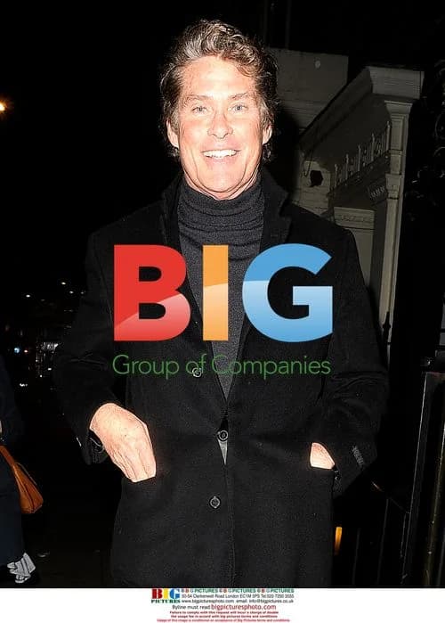 David Hasselhoff enjoys night out in London