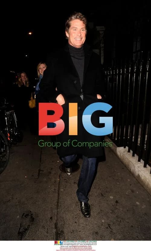 David Hasselhoff enjoys night out in London
