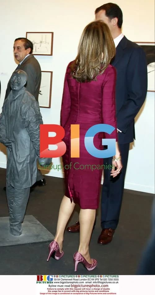 Princess Letizia attends art fair inauguration
