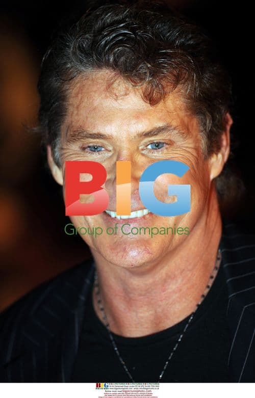 David Hasselhoff at Brit Awards 2009