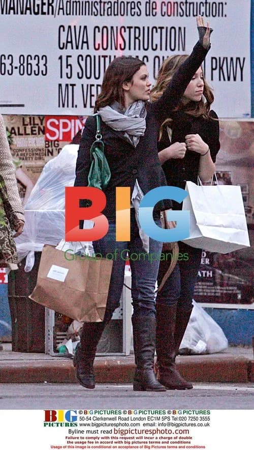Rachel Bilson goes shopping in NYC