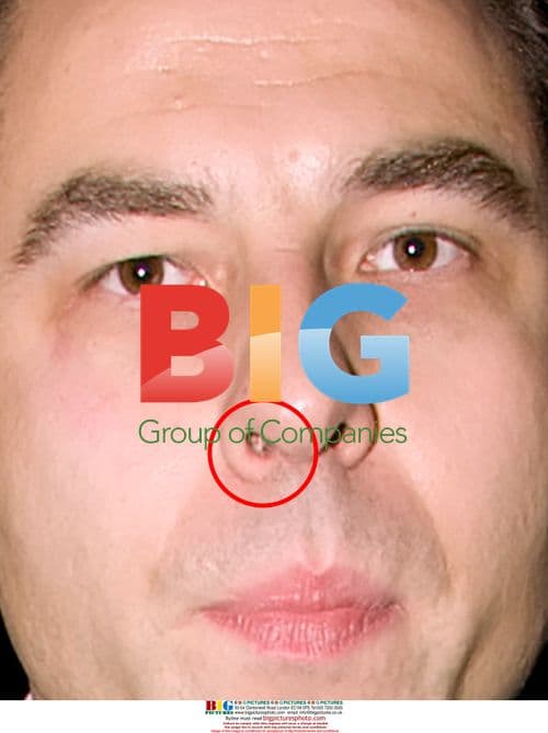 David Walliams drops off girlfriend at train station