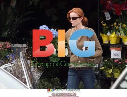 Marcia Cross Grocery Shopping