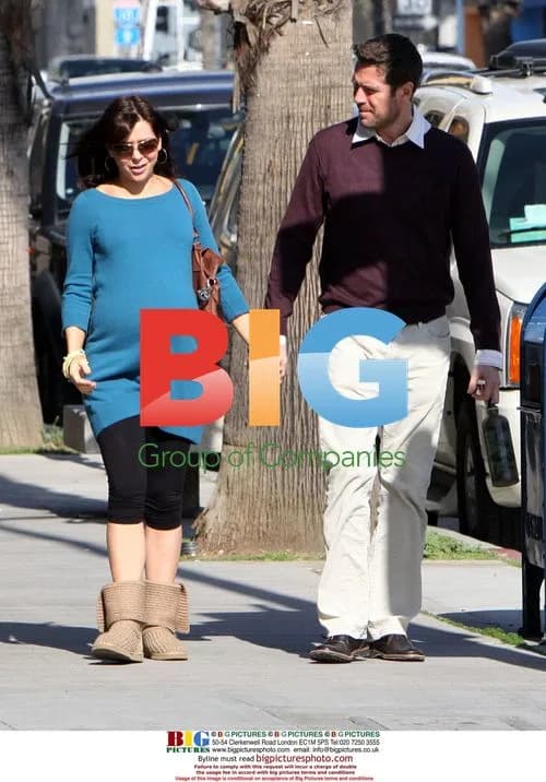 Pregnant Alyson Hannigan & Husband Lunch
