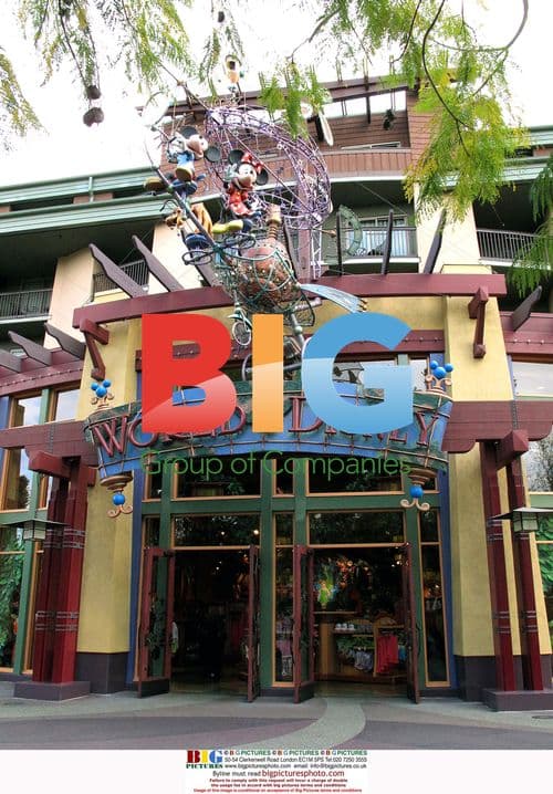 Slumdog Millionaire Kids at Disneyland