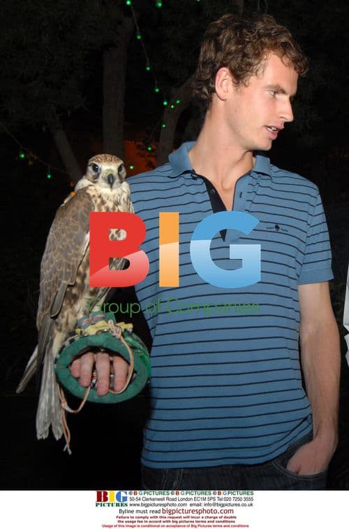 Andy Murray holds falcon at Dubai tennis dinner