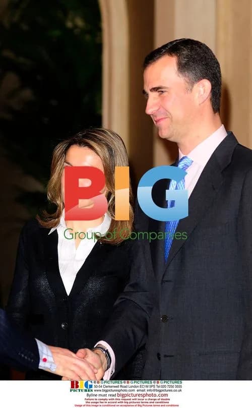 Prince and Princess of Asturias at Palace Meeting
