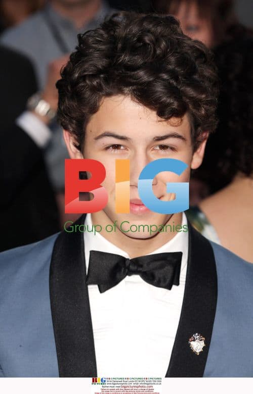 Nick Jonas at Jonas Brothers 3D Concert Premiere