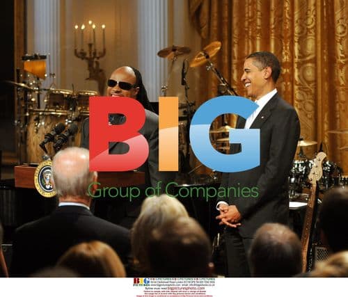 Obama Honors Stevie Wonder at White House