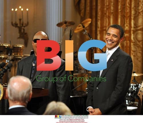 Obama Honors Stevie Wonder at White House