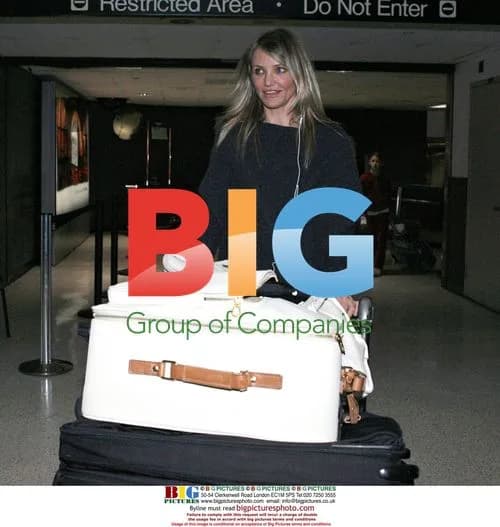 Cameron Diaz Arrives at LAX