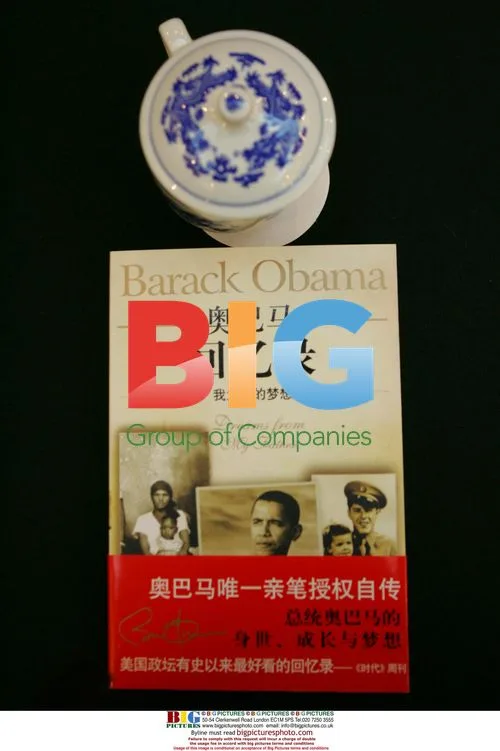 Chinese version of Barack Obama's autobiography