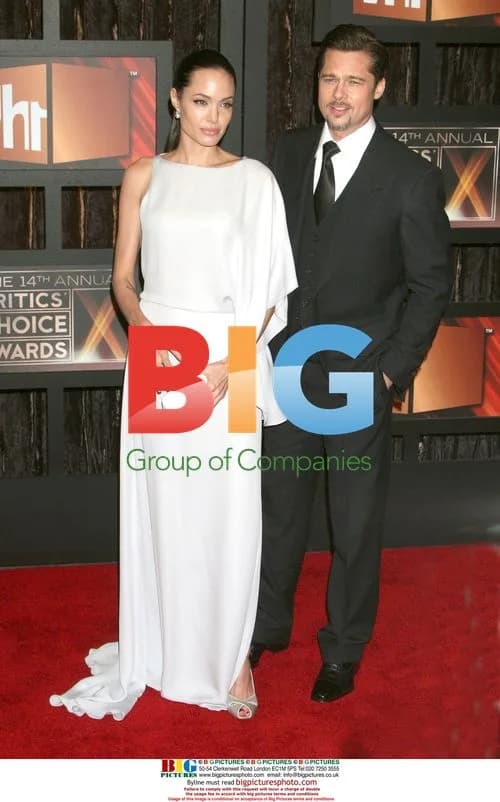 Angelina Jolie and Brad Pitt at Broadcast Critics Awards 2009
