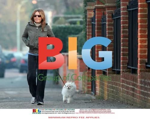 Geri Halliwell Walks Dog in London