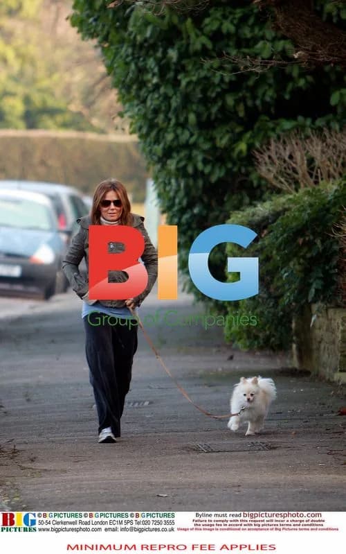 Geri Halliwell out with dog in park