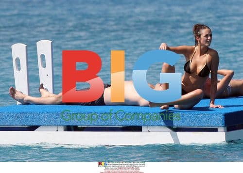 David Walliams Spotted in Barbados with Mystery Brunette