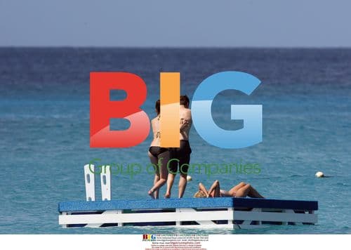 David Walliams Spotted in Barbados with Mystery Woman