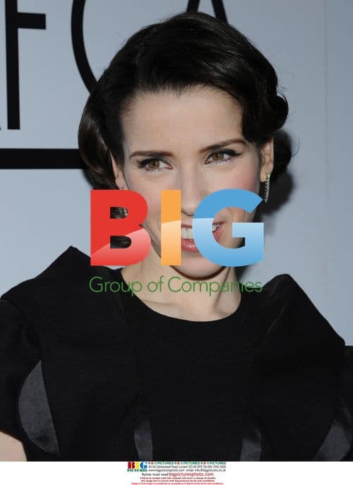 Sally Hawkins at LAFCA Awards