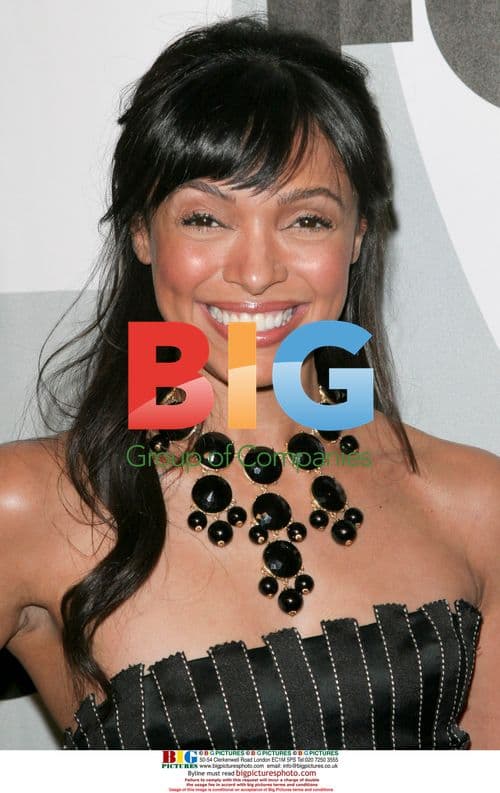 Tamara Taylor at Fox Winter Party