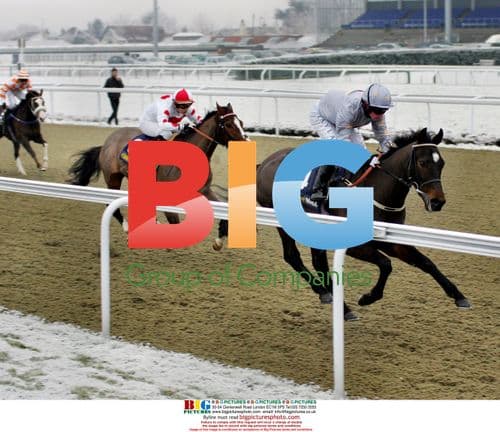 Horse Race Continues in Snowy Kempton Park