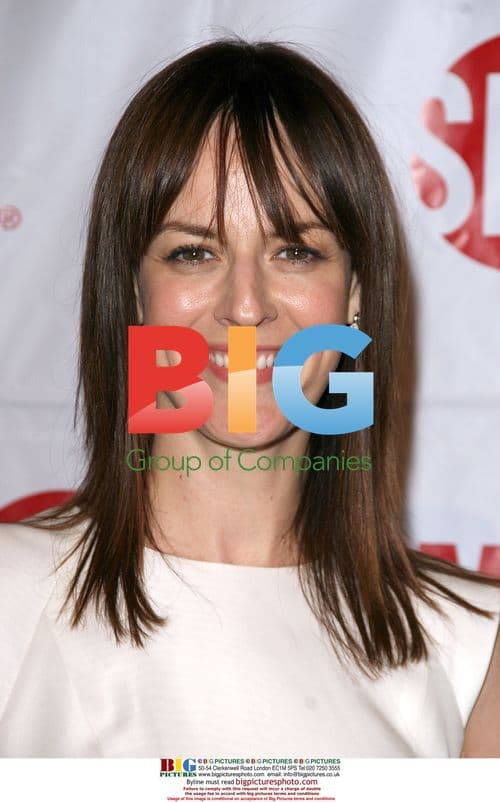 Rosemarie DeWitt at Showtime TCA Party