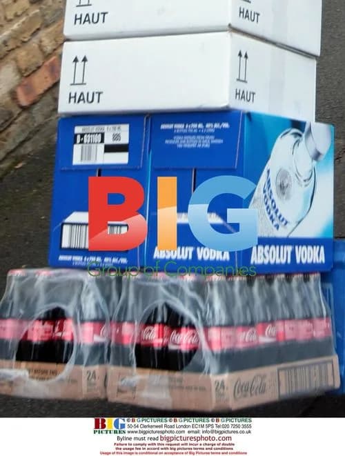 Kate Moss's birthday preparations in London