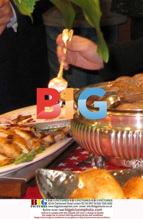 Anne Hathaway at Obama Inauguration Brunch