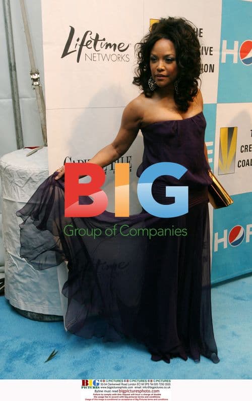 Lynn Whitfield at Creative Coalition's Inaugural Ball