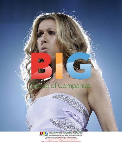 Celine Dion performs in Miami on 'Taking Chances' tour