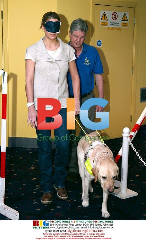 Gemma Atkinson with guide dog at Bolt premiere