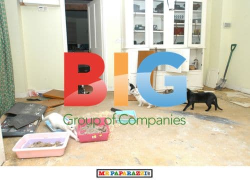 Peter Doherty's Chaotic Home after Charity Gig