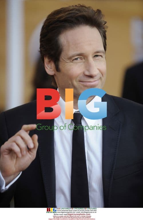 David Duchovney at SAG Awards 2009