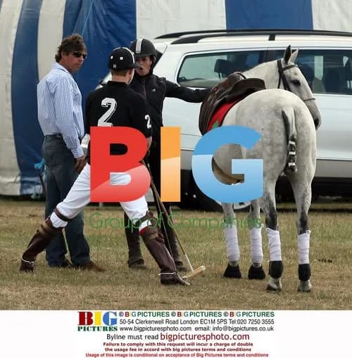 Prince Harry plays polo with Prince William